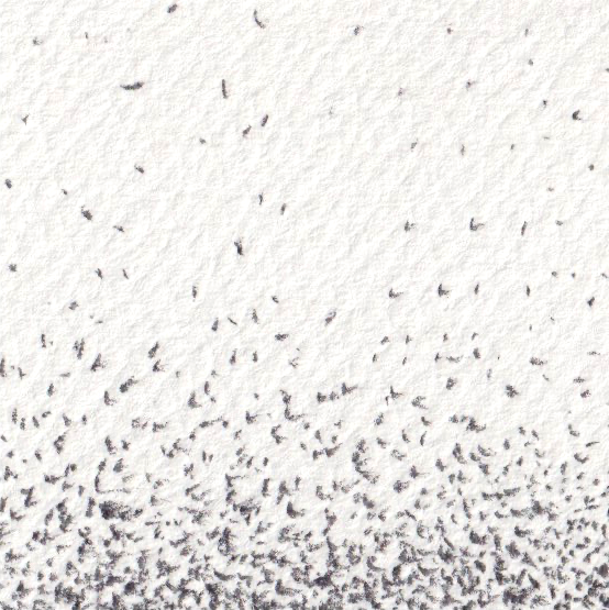 Muestra de sombreado a lápiz sobre papel: marcas separadas arriba y una acumulación más oscura abajo.