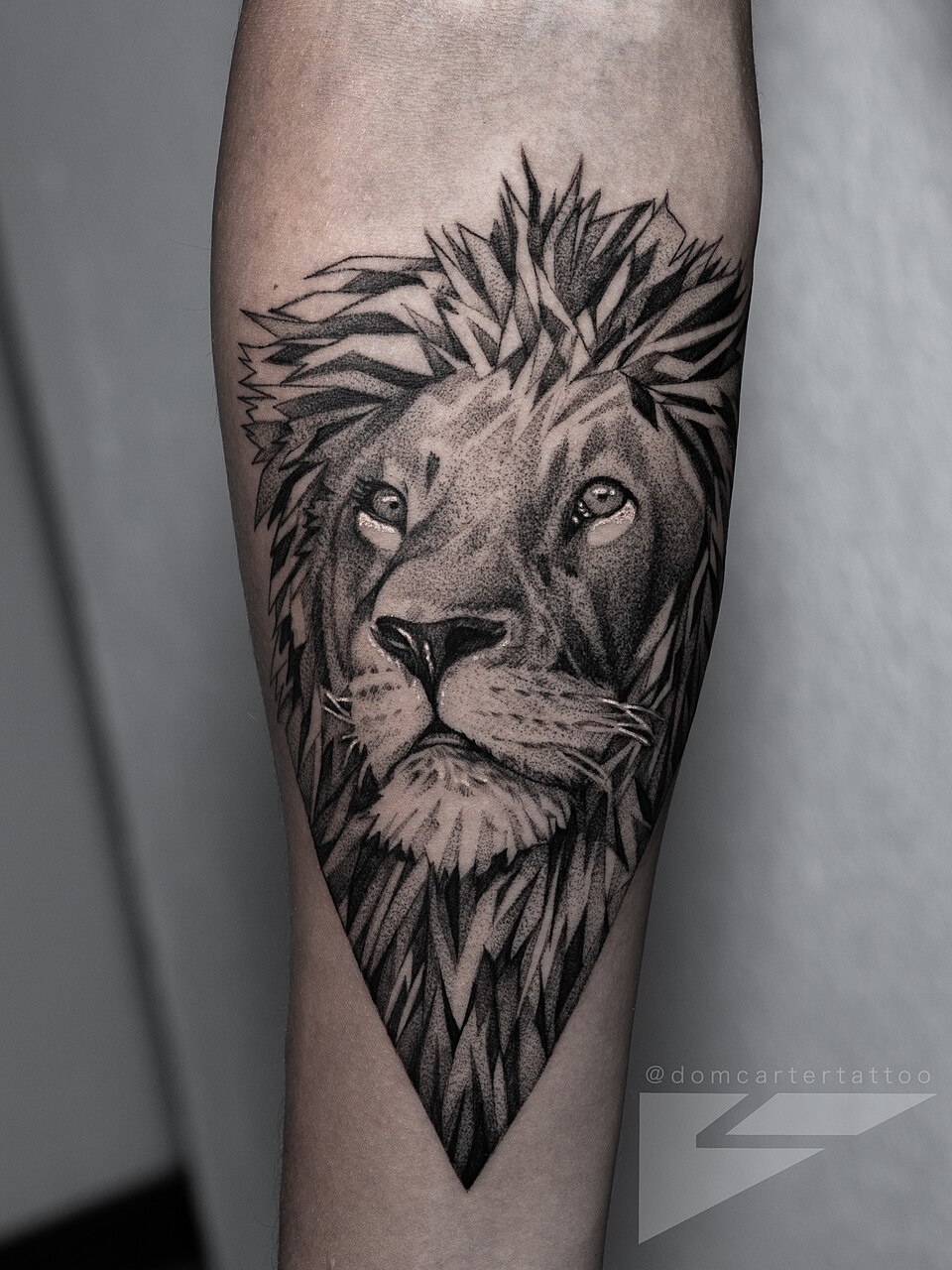 A lion tattoo by Dom Carter, shown from the front against a quiet background.